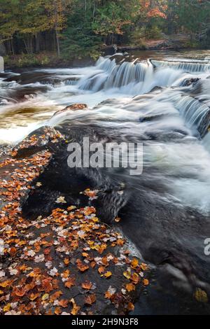 Bond Falls, Herbst, Upper Peninsula, Michigan, USA, Von Dominique Braud/Dembinsky Photo Assoc Stockfoto