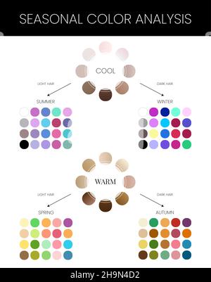 Diagramm zur Analyse der saisonalen Hautfarbe mit Farbpalette für Sommer, Winter, Herbst und Frühling Stock Vektor