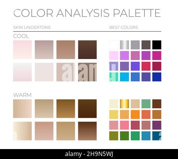 Farbanalyse-Palette von Cool and Warm Skin Tones and the Best Color Farbfelder Stock Vektor