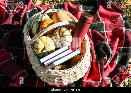 Picknickkorb mit Büchern, Kürbissen und Thermosflasche auf Karos im Herbstpark Stockfoto