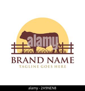 Logo-Design angus Kuh auf Gras und Sonne Stockfoto