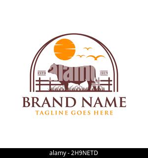 Logo-Design angus Kuh auf Gras und Sonne Stockfoto