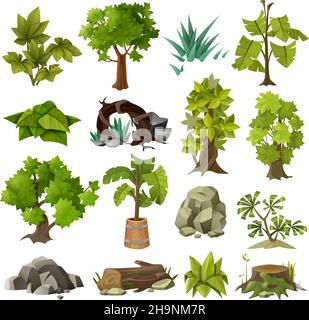 Grüne tropische exotische Pflanzen Waldbäume und moderne Landschaftsgärtnerei Design Elements Icons Sammlung isolierte Vektor-Illustration Stock Vektor