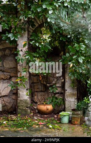 Der Hof des Landhauses ist im Grünen und mit altem Mauerwerk aus Kalkstein, Efeu und Kiefernnadeln. Vorderansicht, Russland, Sommer. Stockfoto