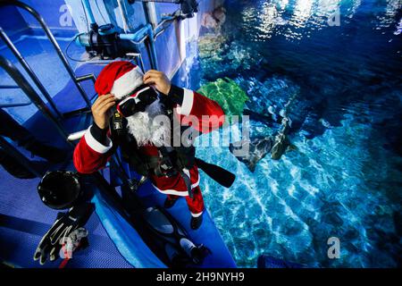 Bangkok, Thailand. 08th Dez 2021. Ein Taucher, der als Weihnachtsmann gekleidet ist, bereitet sich während der Weihnachtszeit darauf vor, Haie und Fische im SEA LIFE Aquarium zu füttern. Kredit: SOPA Images Limited/Alamy Live Nachrichten Stockfoto