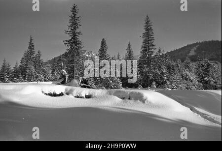 Zakopane, 1949-01. Tatry Wysokie. NZ. Panorama doliny w okolicy KuŸnic. Dok³adny dzieñ wydarzenia nieustalony. bk PAP Zakopane, Januar 1949. Die Hohe Tatra. Im Bild: Ein Panorama eines Tales in der Nähe von Kuznice. bk PAP Stockfoto