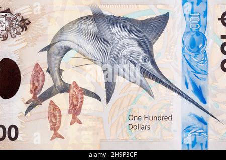 Blauer Marlin aus Bahamian Money - Dollars Stockfoto