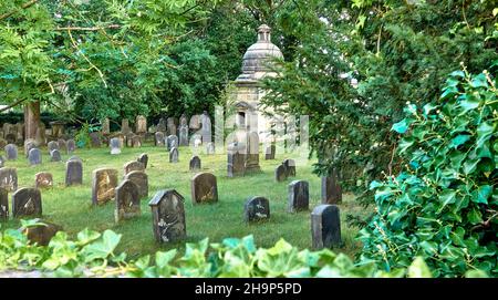 Braunschweig, 27. August 2020: Grabsteine auf dem historischen jüdischen Friedhof, eingerahmt von grünen Efeu-Blättern Stockfoto