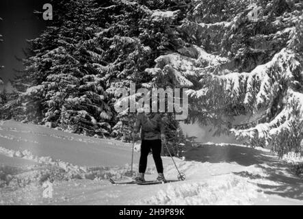 Zakopane, 1949-02. Tatrzañska turystyka zimowa. mw PAP Dok³adny dzieñ wydarzenia nieustalony. Zakopane, 1949. Februar. Wintertourismus in der Tatra. mw PAP Stockfoto