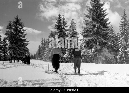 Zakopane, 1949-02. Tatrzañska turystyka zimowa. mw PAP Dok³adny dzieñ wydarzenia nieustalony. Zakopane, 1949. Februar. Wintertourismus in der Tatra. mw PAP Stockfoto