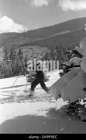 Zakopane, 1949-02. Tatrzañska turystyka zimowa. Dok³adny dzieñ wydarzenia nieustalony. bk PAP Zakopane, 1949. Februar. Wintertourismus in der Tatra. bk PAP Stockfoto