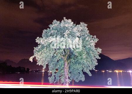 Frankreich, Haute-Savoie, Annecy le 2020-08-13. Illustration eines Urlaubs einer Gruppe junger Menschen rund um den See von Annecy in Haute Savoie. Photograp Stockfoto