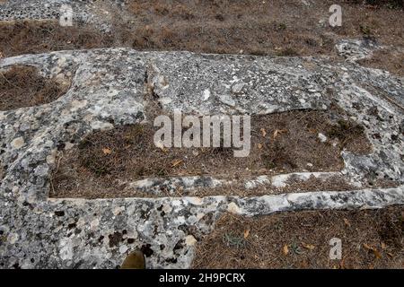 Rupestrian Nekropole, mit Gräbern in Stein ausgegraben, von San Pantaleon in Valderredible. Stockfoto