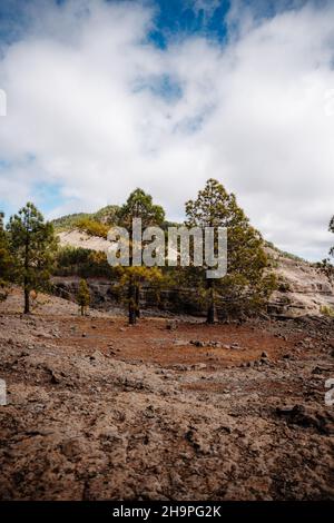 Vertikale Landschaftsaufnahme von Pinien mit einem großen Felsberg dahinter. Felsiger Bergboden und wolkiger Himmel. Gran Canaria, Spanien. Vertikal Stockfoto