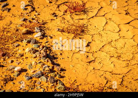 Trockene und rissige Erde mit Felsen in der Wüste nördlich von Phoenix, Arizona. Stockfoto