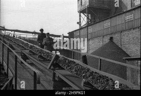 Sosnowiec, 1949-03. Kopalnia istnieje od XIX W., pocz¹tkowo pod nazw¹ Fanny, potem Renard. W 1945 r. znacjonalizowana wesz³a w sk³ad D¹browskiego Zjednoczenia Przemys³u Wêglowego. W 1946 r. nazwano j¹ Kopalni¹ Wêgla Kamiennego Sosnowiec. NZ. przenoœnik taœmowy. pw PAP Dok³adny dzieñ wydarzenia nieustalony. Sosnowiec, März 1949. Die Mine aus dem 19th. Jahrhundert hieß zuerst Fanny und später Renard. Im Jahr 1945 verstaatlicht, machte sie einen Teil des Kohlebergwerks Dabrowskie aus. Im Jahr 1946 wurde der Name Sosnowiec Hartkohlebergwerk umbenannt. Im Bild: Der Bandförderer. pw PAP Stockfoto