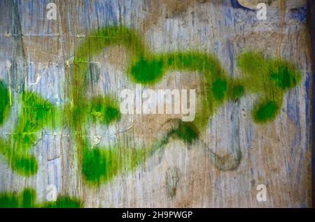 Lime Green besprüht Herz auf Hauswand, Sprayer Herz, Herzform, Symbol der Liebe, Zeichen der Liebe, Liebessymbol, Liebesbeweis, Herzsymbol, Orgel Stockfoto