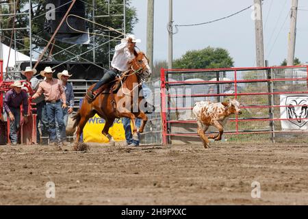 Rodeo-Wettbewerb, Rodeo-Fahrer, Valleyfield Rodeo, Valleyfield, Provinz Quebec, Kanada Stockfoto