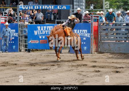 Rodeo-Wettbewerb, Rodeo-Fahrer, Valleyfield Rodeo, Valleyfield, Provinz Quebec, Kanada Stockfoto