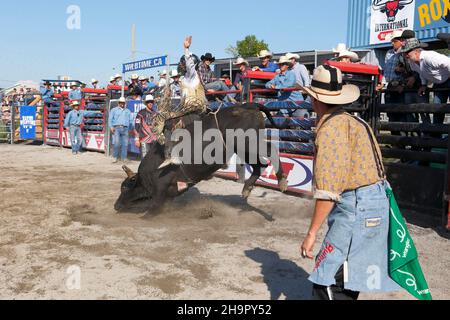 Rodeo-Wettbewerb, Bullenreiter, Valleyfield Rodeo, Valleyfield, Provinz Quebec, Kanada Stockfoto