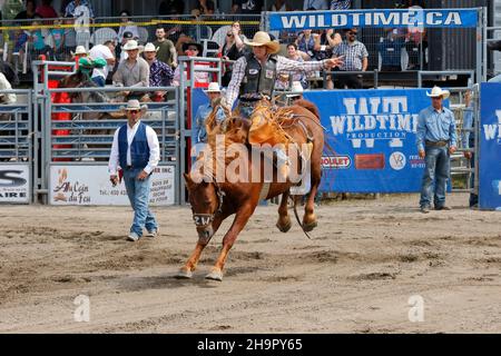 Rodeo-Wettbewerb, Rodeo-Fahrer, Valleyfield Rodeo, Valleyfield, Provinz Quebec, Kanada Stockfoto