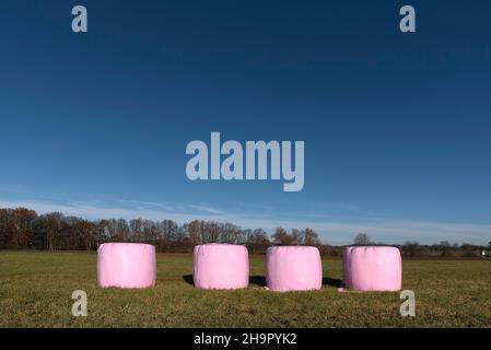 Heuballen in rosa Folie auf der Wiese, Bayern, Deutschland eingewickelt Stockfoto