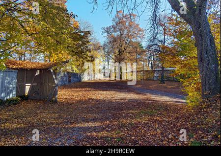 Die Burghalde im Herbst verlässt Kempten, Allgäu, Bayern, Deutschland Stockfoto