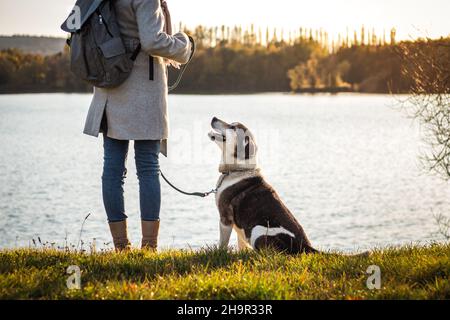 Frau, die mit ihrem Hund neben dem See steht. Netter Hund, der den Besitzer des Haustieres ansieht. Freundschaft zwischen Mensch und Tier Stockfoto