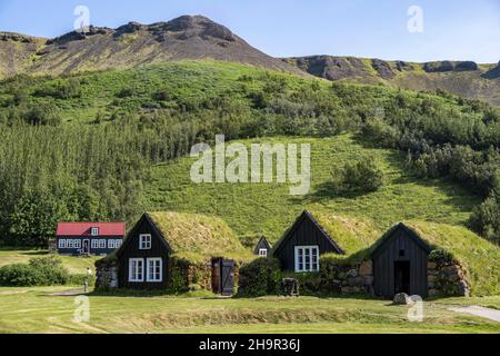 Traditionelles Haus, Torfhäuser mit Gras auf dem Dach, Skogar Museum, Skogar, Island Stockfoto