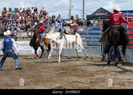 Rodeo-Wettbewerb, Rodeo-Fahrer, Valleyfield Rodeo, Valleyfield, Provinz Quebec, Kanada Stockfoto