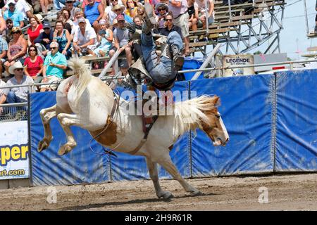 Rodeo-Wettbewerb, Rodeo-Fahrer, Valleyfield Rodeo, Valleyfield, Provinz Quebec, Kanada Stockfoto