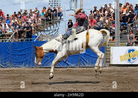 Rodeo-Wettbewerb, Rodeo-Fahrer, Valleyfield Rodeo, Valleyfield, Provinz Quebec, Kanada Stockfoto