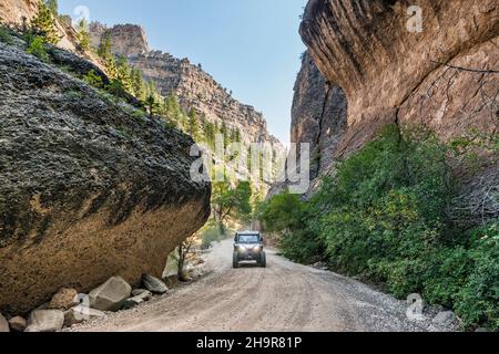 UTV im Crazy Woman Canyon, Bighorn National Forest, in der Nähe von Buffalo, Wyoming, USA Stockfoto