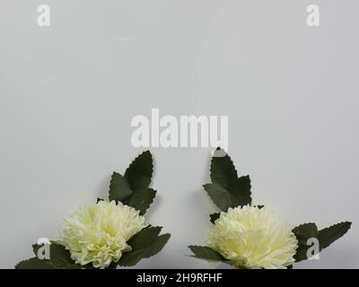 Künstliche weiße Nelkenblume mit Kopierraum auf weißem Hintergrund. Bereit, Text hinzuzufügen Stockfoto