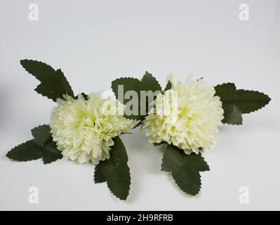 Künstliche weiße Nelkenblume mit Kopierraum auf weißem Hintergrund. Bereit, Text hinzuzufügen Stockfoto