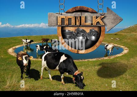 Holzschild mit Richtungspfeil, Text Milch- und Stahlmilchbehälter. An einer Metallkette hängend, auf einer Berglandschaft mit weidenden Kühen. Stockfoto