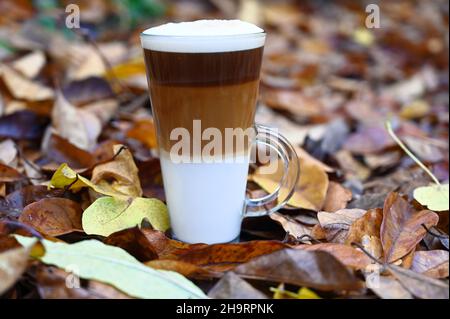 Herbstblätter und Lebkuchen Latte Kaffee Stockfoto