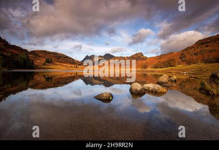 Herbstreflexionen bei Blea Tarn im Lake District, Cumbria England Stockfoto