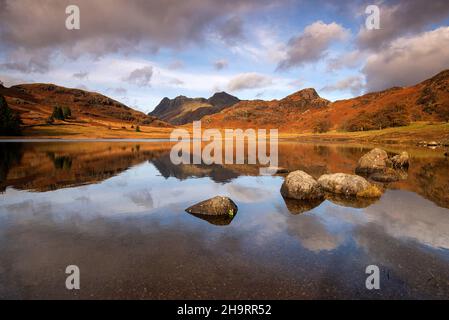 Herbstreflexionen bei Blea Tarn im Lake District, Cumbria England Stockfoto