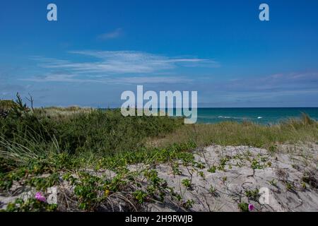 Dünenlandschaft mit der Ostsee auf der Halbinsel Fischland-Darss-Zingst Stockfoto