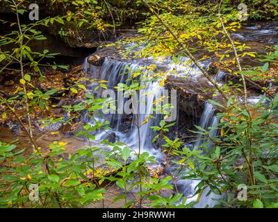 Wasserfälle bei Pearsons Waterfdall und Glen am North Carolina Highway. 176, zwischen den Städten Tryon und Saluda in North Carolina, USA Stockfoto