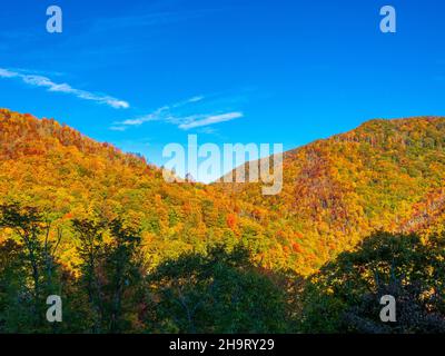 Herbstfarben in den Smoky Mountains entlang des Blue Ridge Parkway in North Carolina, USA Stockfoto