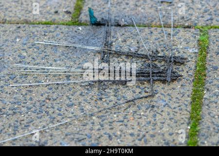 Nahaufnahme Von Sternchen In Amsterdam, Niederlande 1-1-2021 Stockfoto