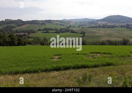 Blick auf die Landschaft entlang der Via Francigena, Italien Stockfoto