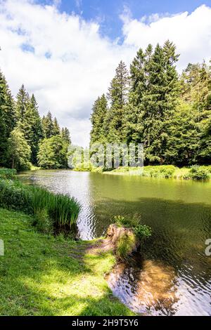 Soudley Ponds, ein Standort von spezial Scientific Interest (SSSI) im Forest of Dean in der Nähe von Soudley, Gloucestershire, Großbritannien Stockfoto