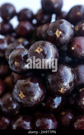 Jabuticaba Obst. Brasilianische tropische Früchte. Stockfoto