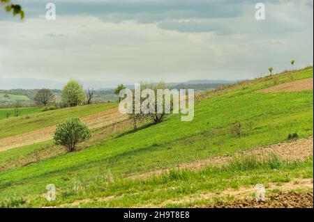 Erstaunliche Rumänien - ländliche Szene mit Stockfoto