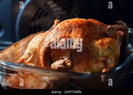 Geröstete Ente mit Äpfeln im Ofen. Stockfoto