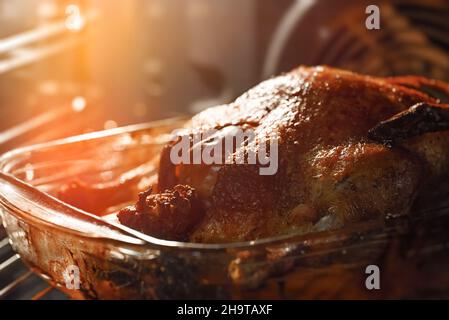 Geröstete Ente mit Äpfeln im Ofen. Stockfoto