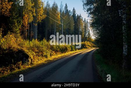 Leere Schotterstraße auf dem Land im Wald bei Sonnenuntergang, Finnland Stockfoto